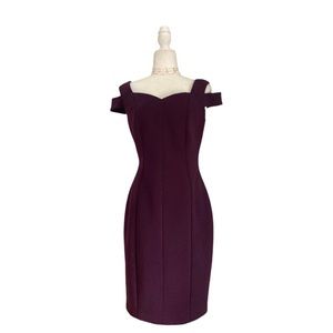Calvin Klein Aubergene Dress NWOT